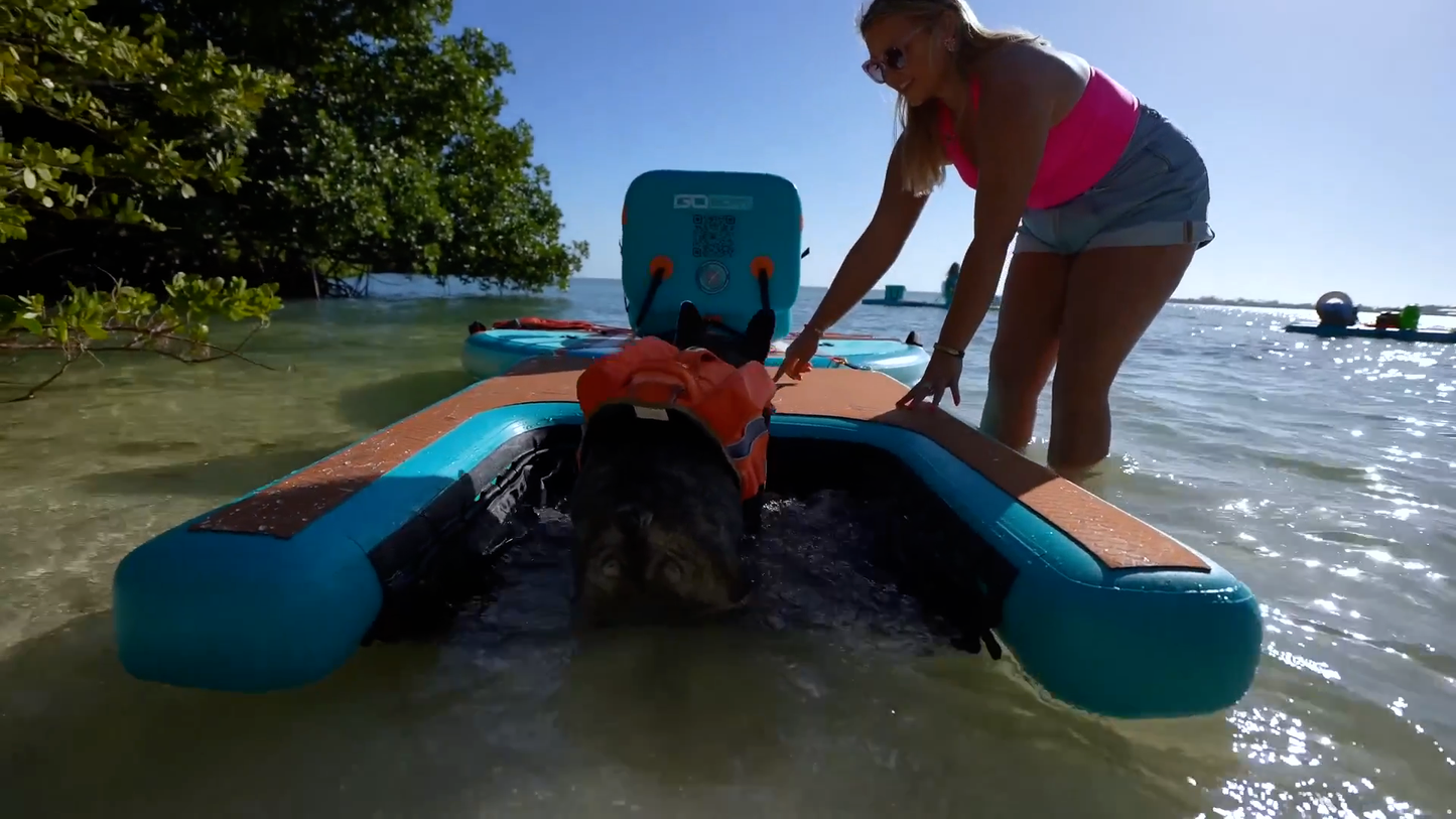 Dog Dock